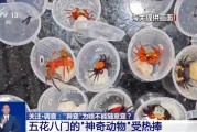 呼和浩特@铲屎官们 养“异宠”或危害国家安全 这些行为违法了