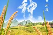 呼和浩特芒种节气小知识来了 夏种作物都有什么？