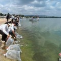 呼和浩特云南江川举行增殖放流活动 逾54万尾鱼游入星云湖